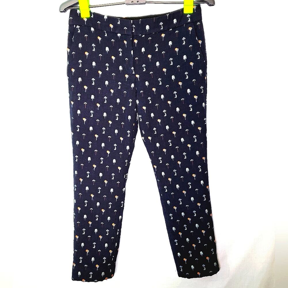 Ann Taylor Devin Fit size 2 Blue with design women's Pants